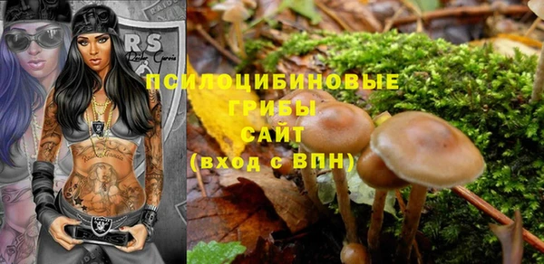 молекула духа Майский