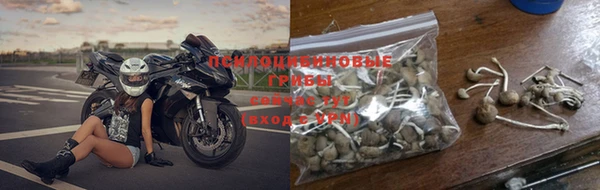 твердый Магадан