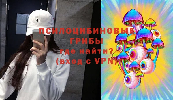 молекула духа Майский