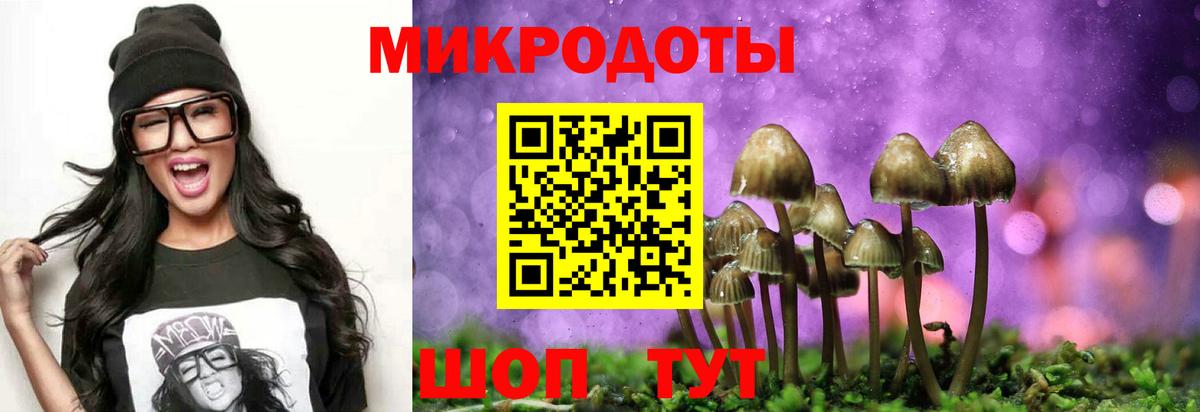 Нижний Тагил  Галлюциногенные грибы Magic Shrooms  Вход с VPN 